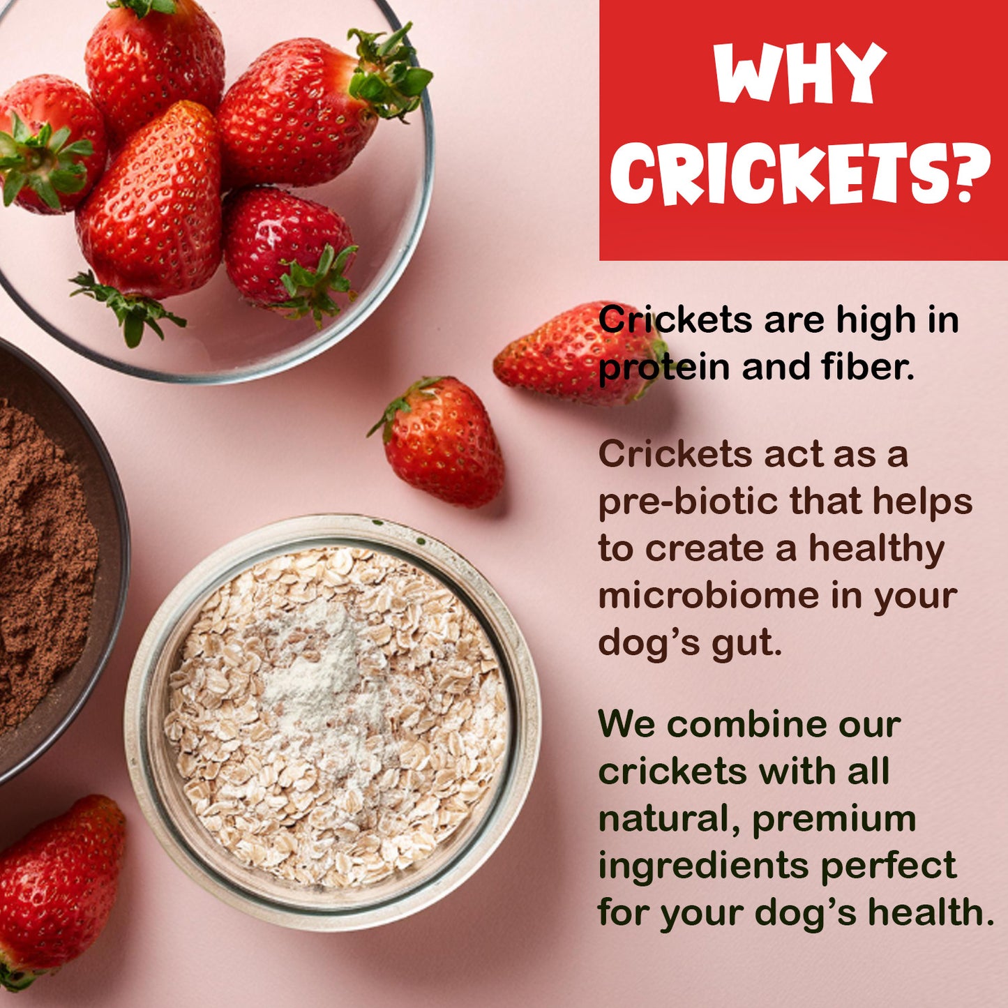 Cricket Dog Treats - High protein dog treats made with cricket protein. All-natural, sustainable dog treats. Strawberry Symphony