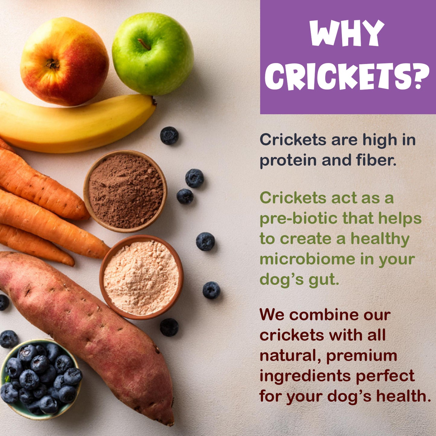 Cricket Dog Treats - High protein dog treats made with cricket protein. All-natural, sustainable dog treats. Fruit Fusion - The Bug Pantry