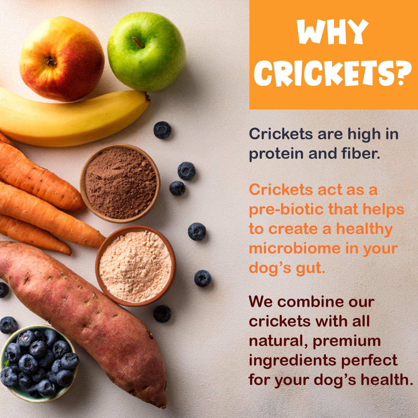 Cricket Based Kibble Booster - High protein kibble topper made with cricket protein. All-natural, sustainable dog treats. Chirp'n Delights